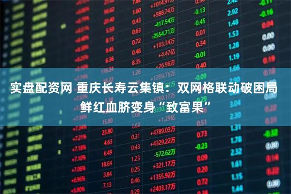 实盘配资网 重庆长寿云集镇：双网格联动破困局 鲜红血脐变身“致富果”