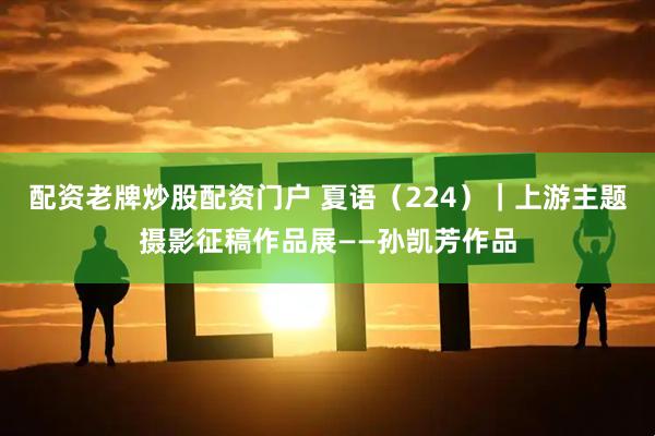 配资老牌炒股配资门户 夏语（224）｜上游主题摄影征稿作品展——孙凯芳作品